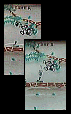 �t���[�c�𗎂Ƃ��č����_���I