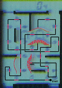 �U�����[�g